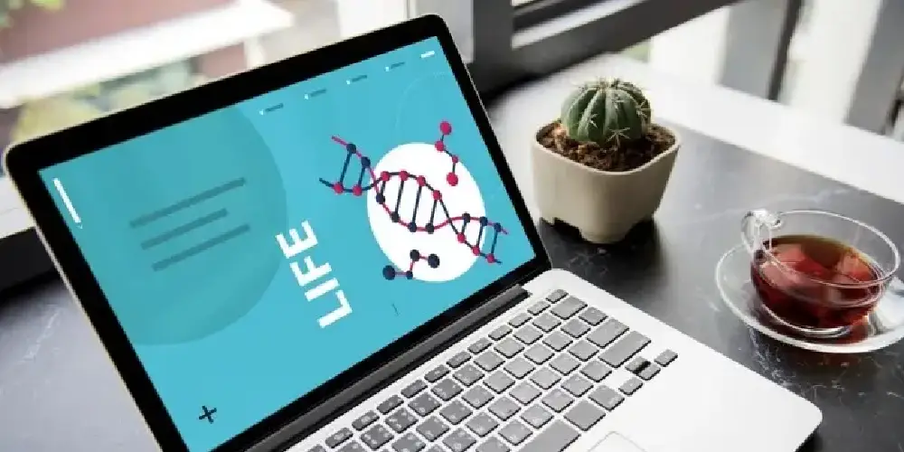 Ten Essentials For The Best Medical Website Design